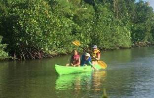 kayak mangroves merizo